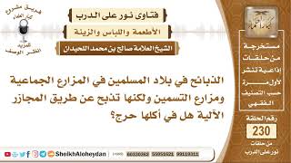 صورة الذبائح التي تذبح عن طريق المجازر الآلية هل في اكلها حرج؟ صالح بن محمد اللحيدان