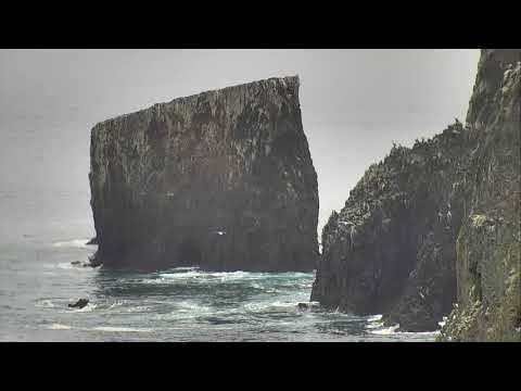 Anacapa Island Cove - Channel Islands National Park 12-17-2018 16:29:20 - 17:29:22