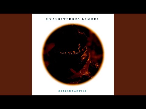 download lagu mp3 mp4 Hyalopterous Lemure, download lagu Hyalopterous Lemure gratis, unduh video klip Hyalopterous Lemure