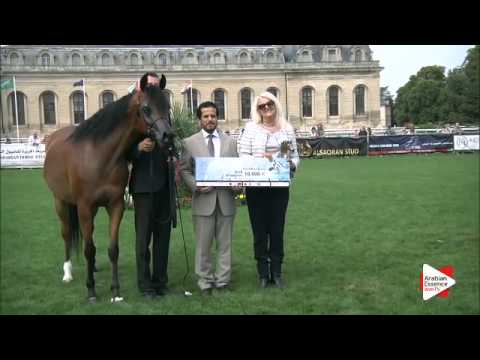 1st Place N.44 MISSISSIPPI J - Chantilly 2015 ABCE - Mares Championship (Class 13)