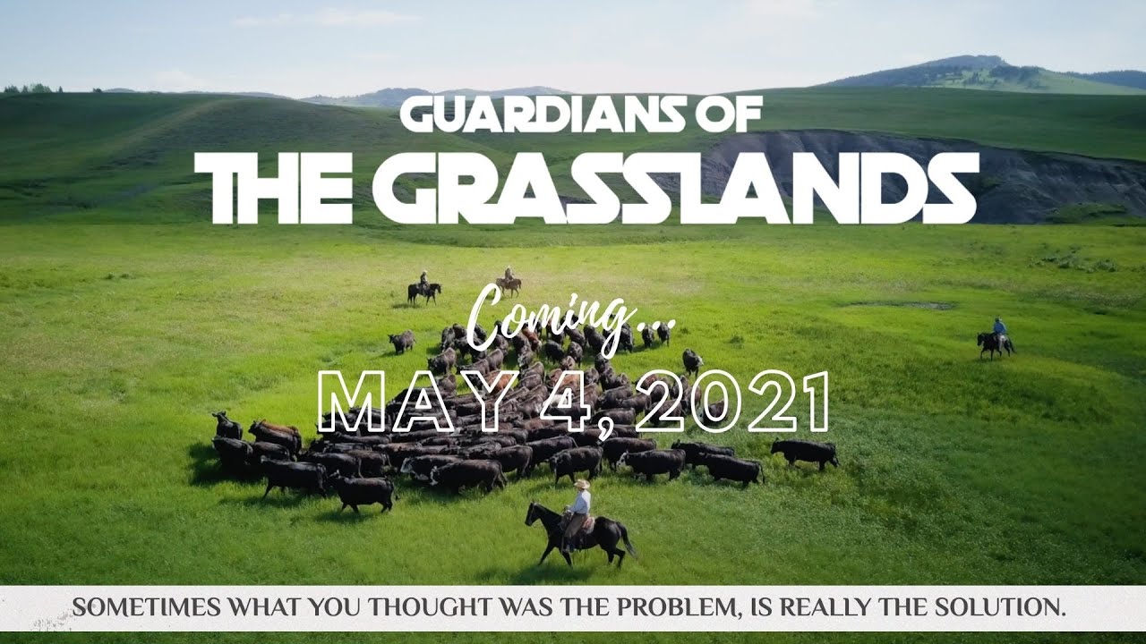 Guardians of the Grasslands - Public Launch Preview