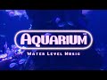 Aquarium A Nintendo Inspired Playlist No AI