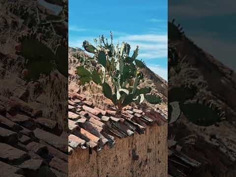 Casas Patrimoniales de TARATA #arquitectura #architecture #patrimonionacional #bolivia #cochabamba