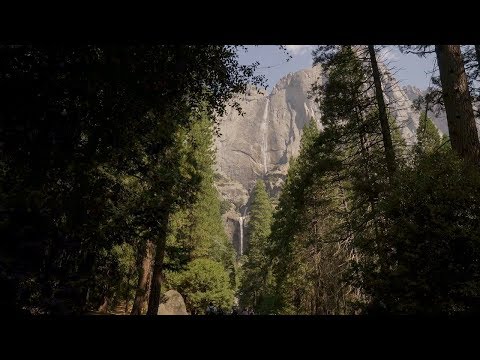 California 101: Yosemite National Park