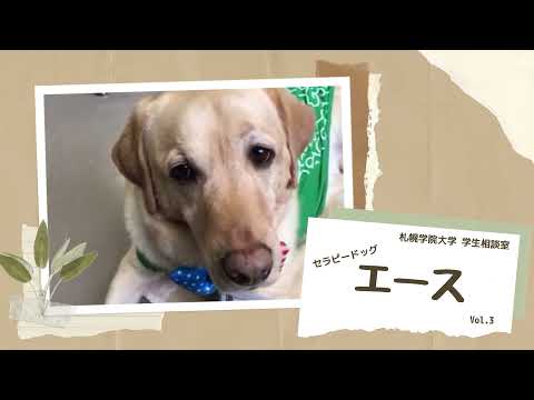 経済学科 札幌学院大学 学生相談室 セラピードッグ エース Vol.3