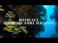 Scuba Diving at LUX* South Ari Atoll Maldives, Euro-Divers LUX* South Ari Atoll, Malediven