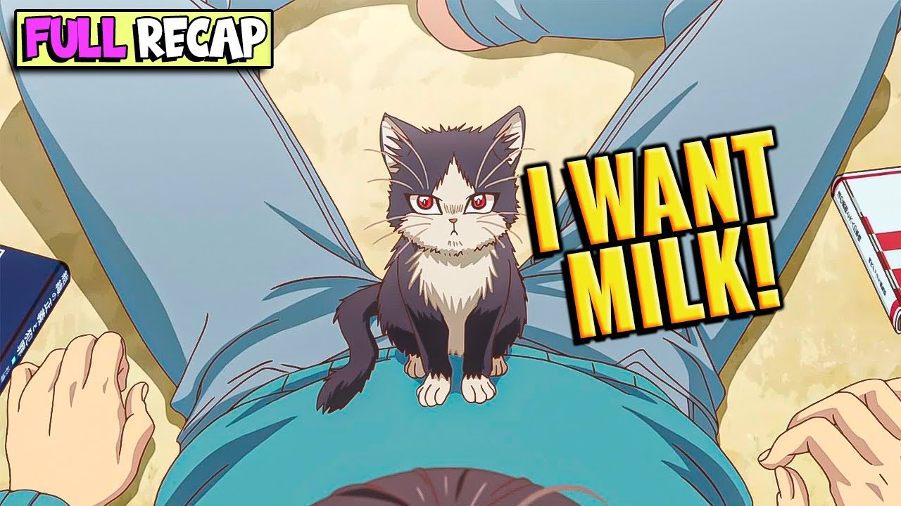 🙀Lonely Guy Had a Sad Life Until a Cute Cat Came to His House😺My Roommate is a Cat Anime Recap