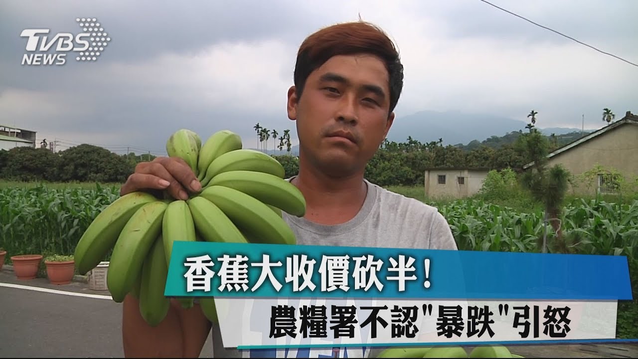 香蕉大收價砍半! 農糧署不認「爆跌」引怒