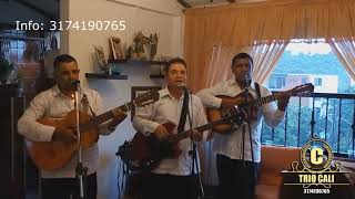 Video de Trio Javier Villa