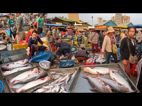 Ever Seen Cambodia Market Show Distribution Wholsale River Fish Lobster Seafood In Phnom Penh