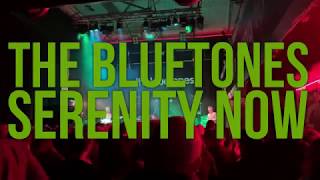 The Bluetones - Serenity Now (live at The Riverside, Newcastle upon Tyne 14/3/2019)