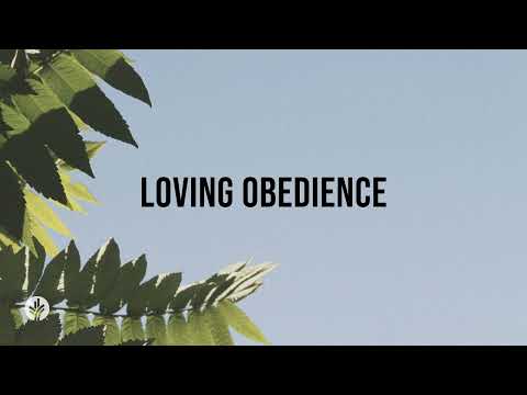 Obediencia amorosa | Lectura en audio | Devocional Nuestro Pan Diario | 6 de mayo de 2024