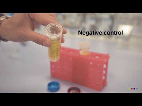 Fat binding experiment KiOnutrime-CsG® - KitoZyme - short version
