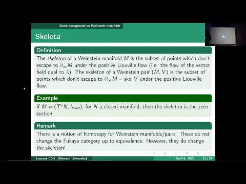 An Application of Symplectic Topology to Algebraic Geometry