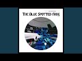 The Blue Spotted Frog (Echosphere's Hold Onto This Moment Acid Remix)
