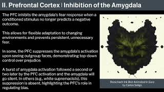 14. Human Behavioral Biology: Limbic System 4 by Robert Sapolsky