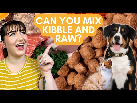 Can You Mix Kibble and Raw Pet Food? | Mythbusting Mondays