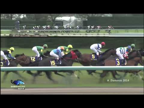 Isla Bonita - Satsuki Sho (Japanese 2000 Guineas) 2014