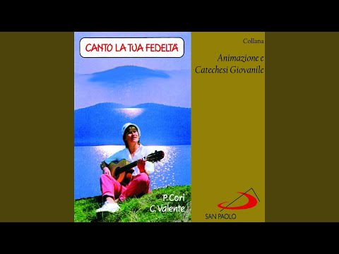 Non temere, piccolo gregge