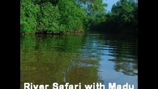 preview picture of video 'Mangrove cave river safari sri lanka with Madu - Villa Madu Guesthouse Galle'