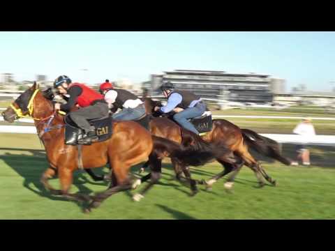 GaiTV - Shakleton - Jumpout 4/12/15