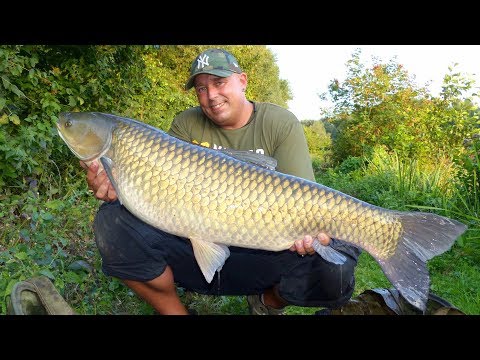 Karpfenangeln - Videotagebuch 27 - Overnighter im Hochsommer