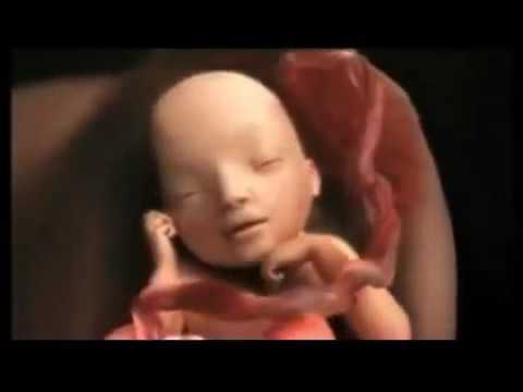 7ème 8ème 9ème mois de grossesse