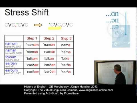 HIS122 - OE Morphology
