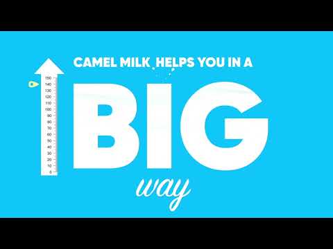 Aadvik camel milk powder 20g x 25 sachet, 500 g, packet