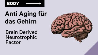 BDNF - Anti Aging für das Gehirn