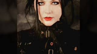 Evanescence - Lies (remix)
