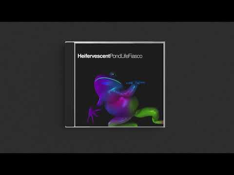When the Stars Fall from Grace - Heifervescent