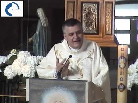 Homilía. Viernes de la Octava de Pascua 26/04/2019 P. Santiago Martín, FM