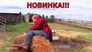 Приколы 2018 лучшие с котами мая смешные видео с животными ржака до усрачки прикол - Приколюха