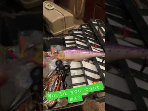 Crazy Purple Jerk Bait Lure