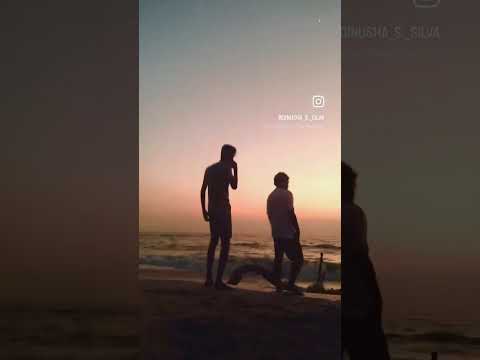 Evening with buddies..#shorts  #tiktok #reels #instagram #srilanka #beach #sunset #eveningvibes