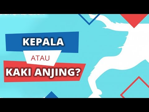 Tag Tes Kepribadian Online Tes Kepribadian Apa Yang Pertama