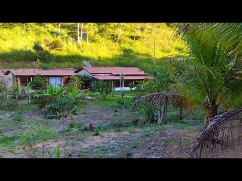 VENDE SÍTIO PAVÃO 4.84HA 14 KM DA CIDADE TEÓFILO OTONI-MG 