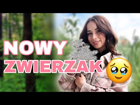 Mój nowy ZWIERZAK! | Syla ♡