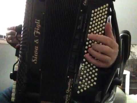 Edo Sadikovic-Skola harmonike- Razgranala grana jorgovana