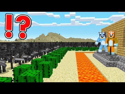 Bluey and Bingo 7 Security Build Hacks vs Wither Skeletons In Minecraft