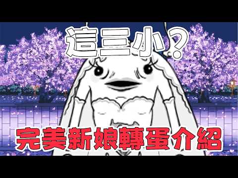 【貓咪研究室】久違的季節轉蛋再度來臨！莫名其妙的亞種不明貓？完美新娘轉蛋介紹！《水羽 ほむら》【貓咪大戰爭】