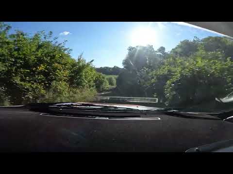 Raliul Iasului 2022 | Paun