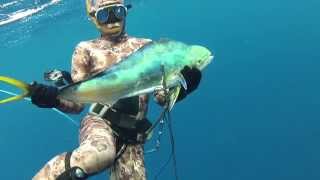 preview picture of video 'NC Northeast spearfishing 4'