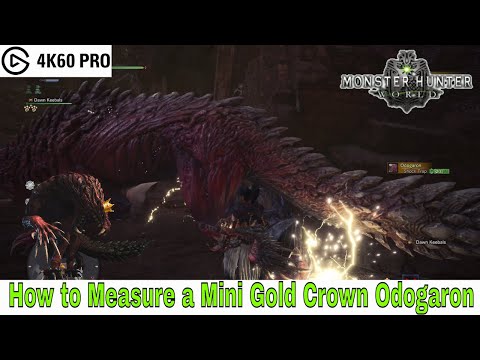 Monster Hunter: World - How to Measure a Mini Gold Crown Odogaron Video