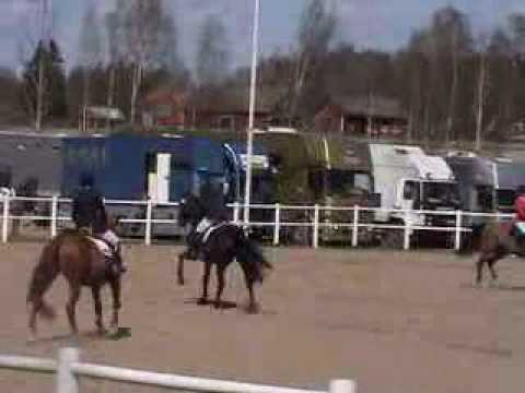 Linus Gustafsson - Riddarsporre 130 Kumla