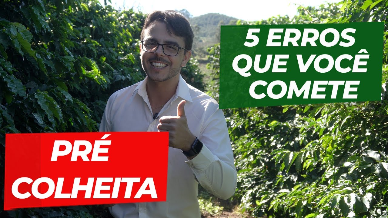 Quais são os cinco erros mais cometidos antes da colheita?| No Pé do Café