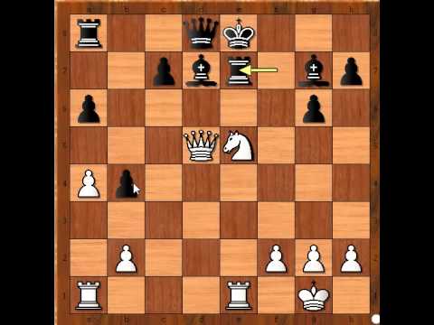 Kraj jedne partije - BRINCKMANN vs SCHORIES -  ( pozicija br 14)   # 308