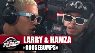 Goosebumps Music Video