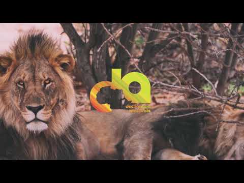 Boybreed - Swimming Pool (Prod by Badguyswag)